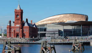 cardiff city